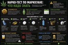 infographic_compressed.jpg infographic_compressed.jpg
