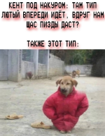 мем4.png