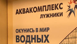 мем7.png