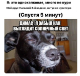 мем 10.png