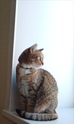 IMG_20241221_183405_869.jpg